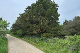 Fritidsgrund på Daadyrvej 19B, Faarup Klit, 9493 Saltum