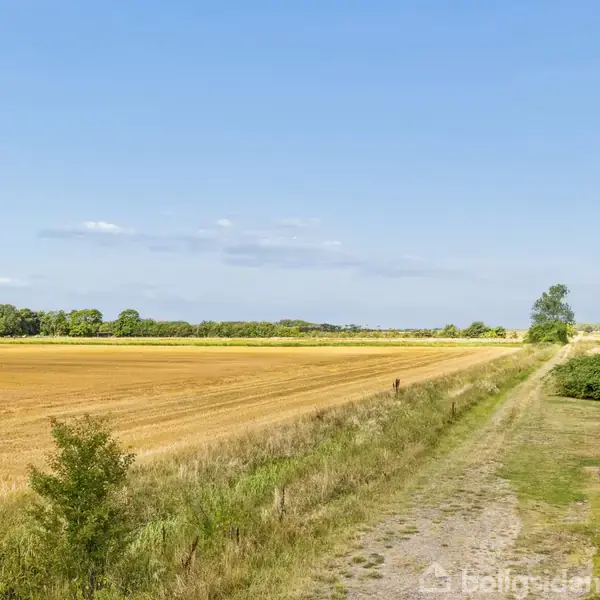 Bondegård ses i det fjerne nær en bred, gylden kornmark. En grussti fører gennem landskabet, omgivet af spredt vegetation, under en klar, blå himmel.