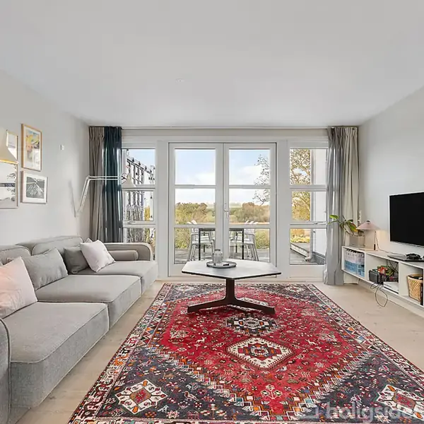 En grå sofa står i en stue ved siden af et rektangulært sofabord på et rødt mønstret tæppe. Store glasdøre fører ud til en altan med udsigt til træer. En fladskærms-tv er monteret på væggen. Væggene har flere indrammede billeder.