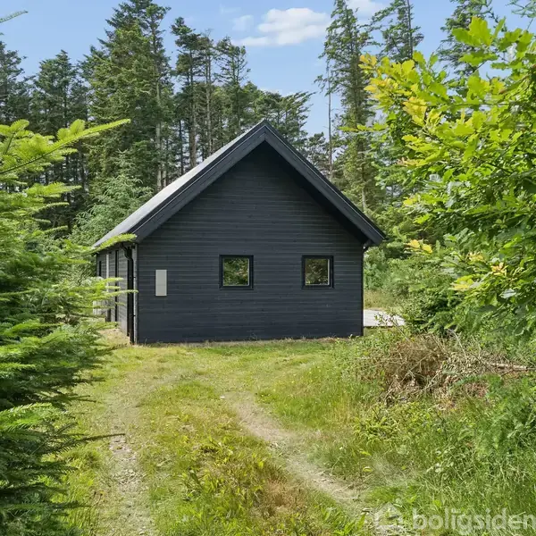Et sort træhus står stille omgivet af frodig skov og græs. Stier fører op til huset, der ligger isoleret blandt træer under en blå himmel.