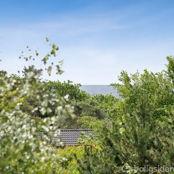 Træer står stille i en frodig have, omgivet af tæt grøn vegetation. I baggrunden ses et tag og en klar blå himmel.