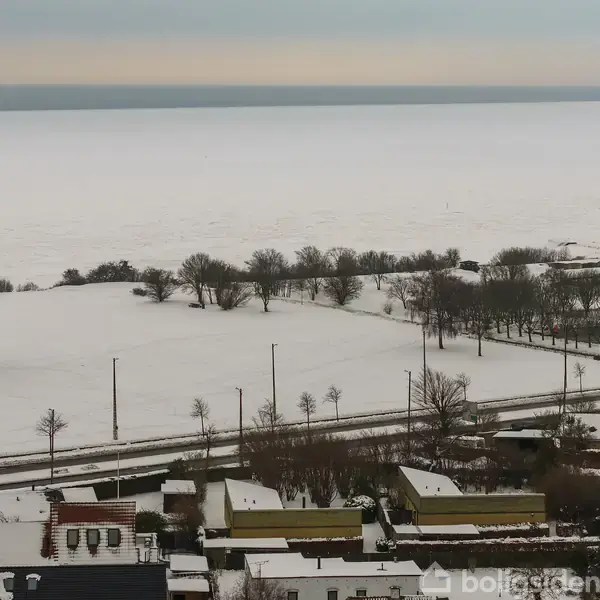 Et snedækket landskab strækker sig mod horisonten med spredte træer langs en vej. I forgrunden ses huse med snedækkede tage, og i baggrunden en frossen sø eller flod.