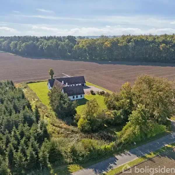 Et hus ligger midt på en stor mark. Det er omgivet af grønne træer og tæt vegetation, med en skov i baggrunden under en blå himmel med skyer.