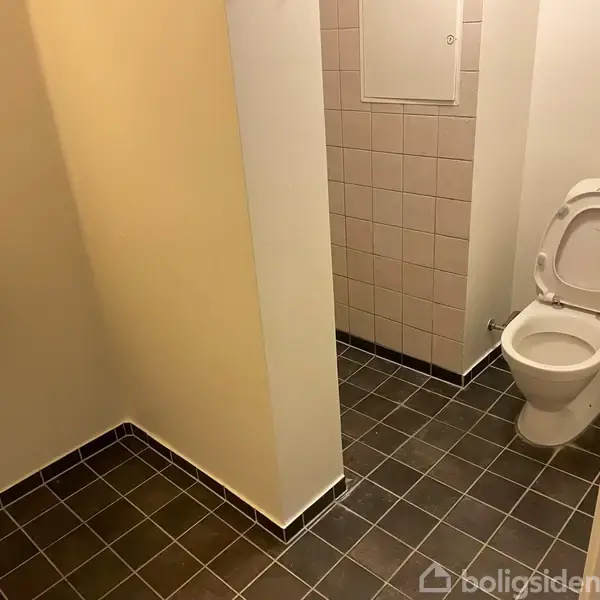 Toilet og håndvask er placeret på mørkt flisegulv i et lille badeværelse med lyse vægge. Toilettet er i en alkove, afskærmet fra vasken.