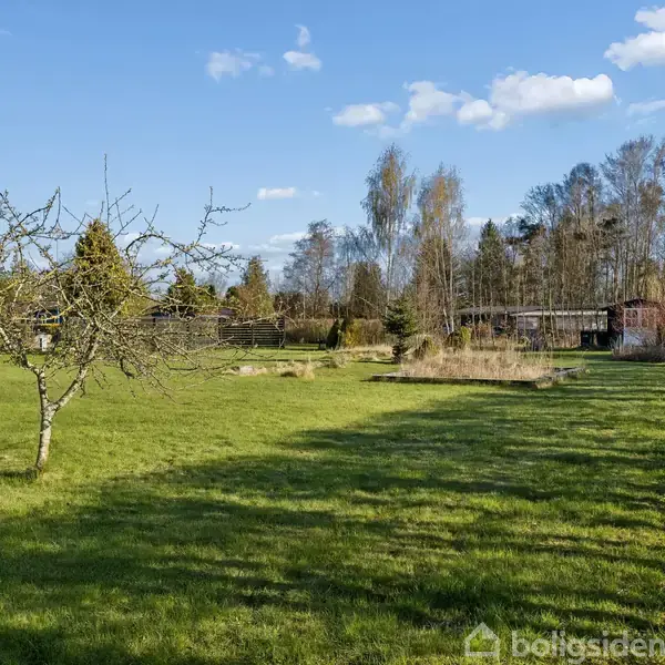Græsplæne strækker sig over et åbent område med enkelte frugttræer; omgivet af træer og buske i en naturlig, landlig have. Himlen er klar med få skyer.
