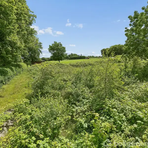 Grøn beplantning dækker en eng med spredte træer, under en klar blå himmel. En sti ses til højre, omgivet af tæt vegetation. Ingen tekst er til stede.