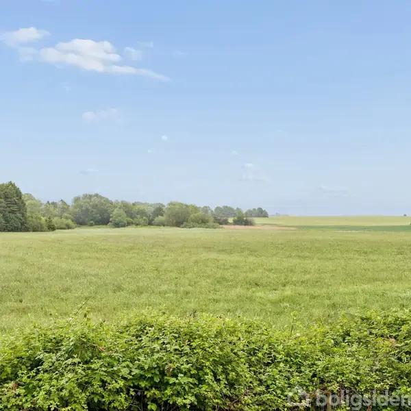 En grøn mark strækker sig mod horisonten, omgivet af skov og buskads under en klar, blå himmel med lette skyer.