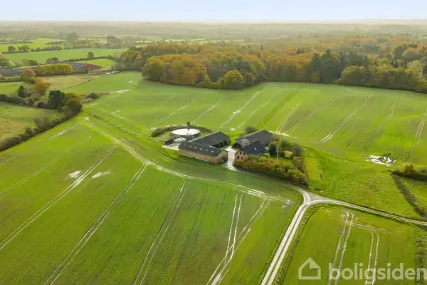 Planteavlsgård/-jord på Nyvang 19, 6640 Lunderskov