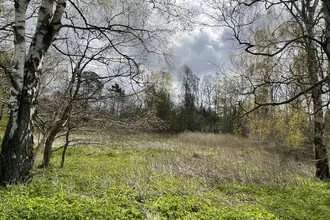 Fritidsgrund på Lysevej 26, Helberskov, 9560 Hadsund