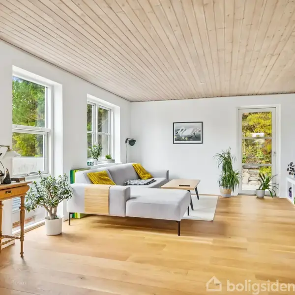 Stue med en grå sofa centreret mod en væg, dekoreret med puder. Rummet har lyse trægulve, hvide vægge, grønne planter og tre store vinduer, der slipper naturligt lys ind.