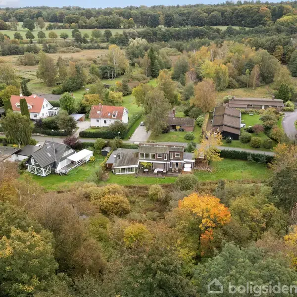 Luftfoto af et boligområde med flere huse omgivet af træer i efterårsfarver. Husene ligger langs snoede veje og grænser op til en stor skov.