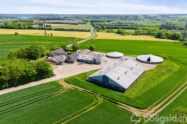 Svinegård/-jord på Vinderslevholmvej 44, 8620 Kjellerup
