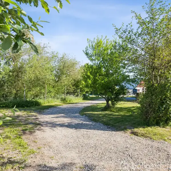 Grusvej buer gennem en grøn have, flankeret af træer og buske, under en klar blå himmel. I baggrunden ses en rød bygning delvist skjult af vegetation.