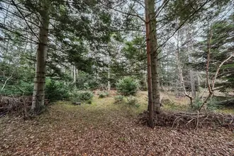 Fritidsgrund på Ruggårdsvej 7, Gudmindrup Lyng, 4573 Højby