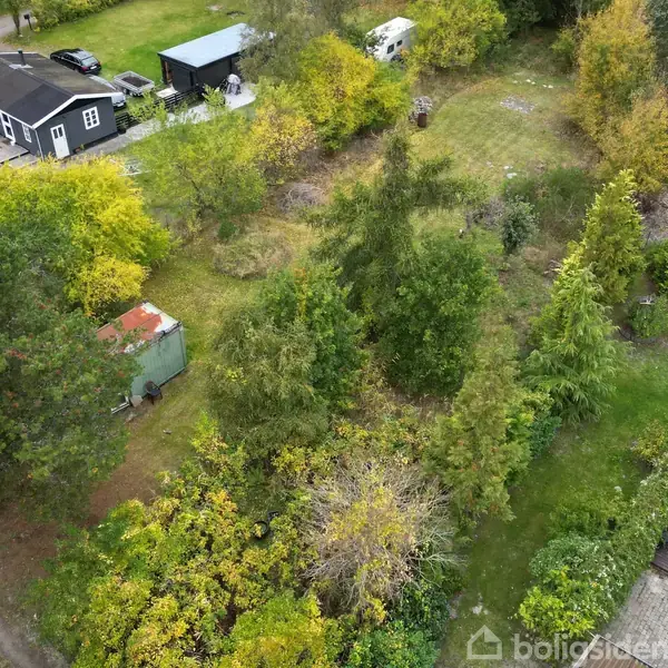 Hus i skovklædt område med grusvej, skur og parkeret bil. Omgivelserne er præget af tæt bevoksning og forskellige træer, hvilket skaber en rolig, naturlig atmosfære.