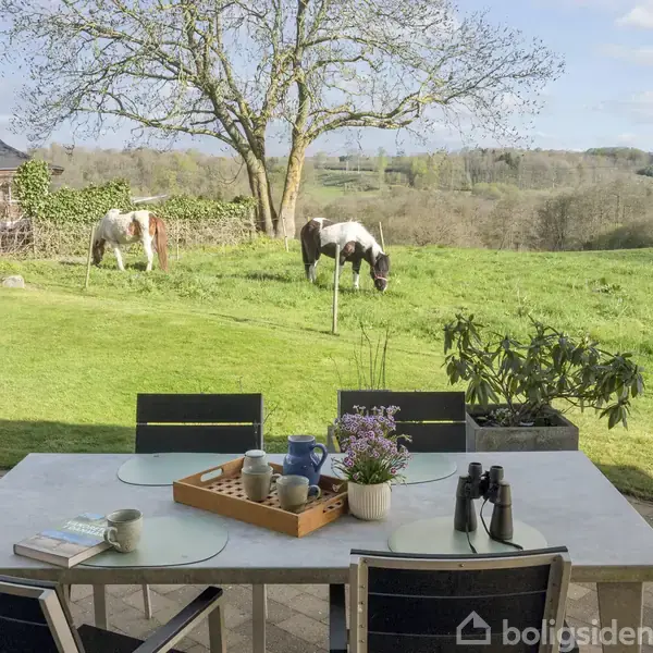 Et bord med kaffekopper og blomster står på en terrasse, mens to heste græsser i en frodig have. I baggrunden ses et træ og en kuperet landskabsudsigt.