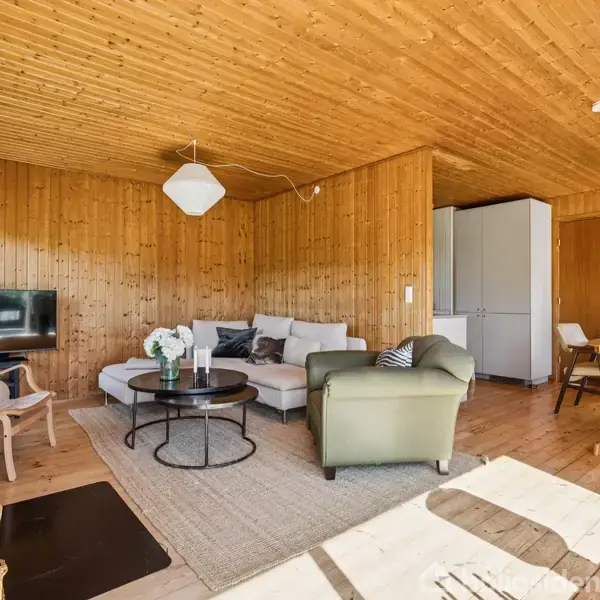 Stue med trævægge og trægulv. En sofa med puder og et sofabord står til venstre, mens en pejs er til højre. Køkkenbord og stol ses i baggrunden.
