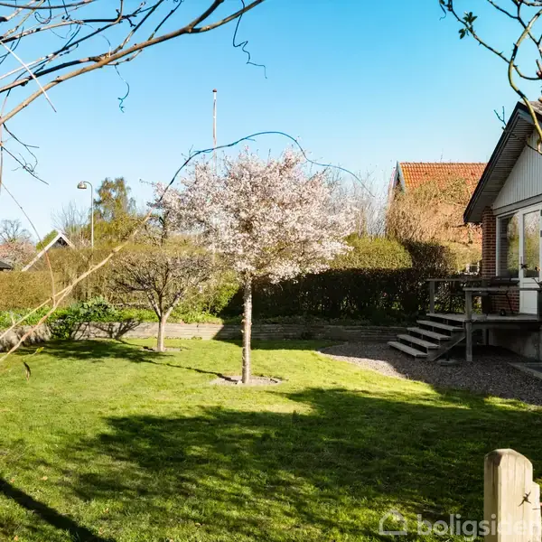 En forårshave med et blomstrende træ står i græsset. En rød murstensbygning med vinduer og en lille trappe findes til højre, omkranset af hække og buske.