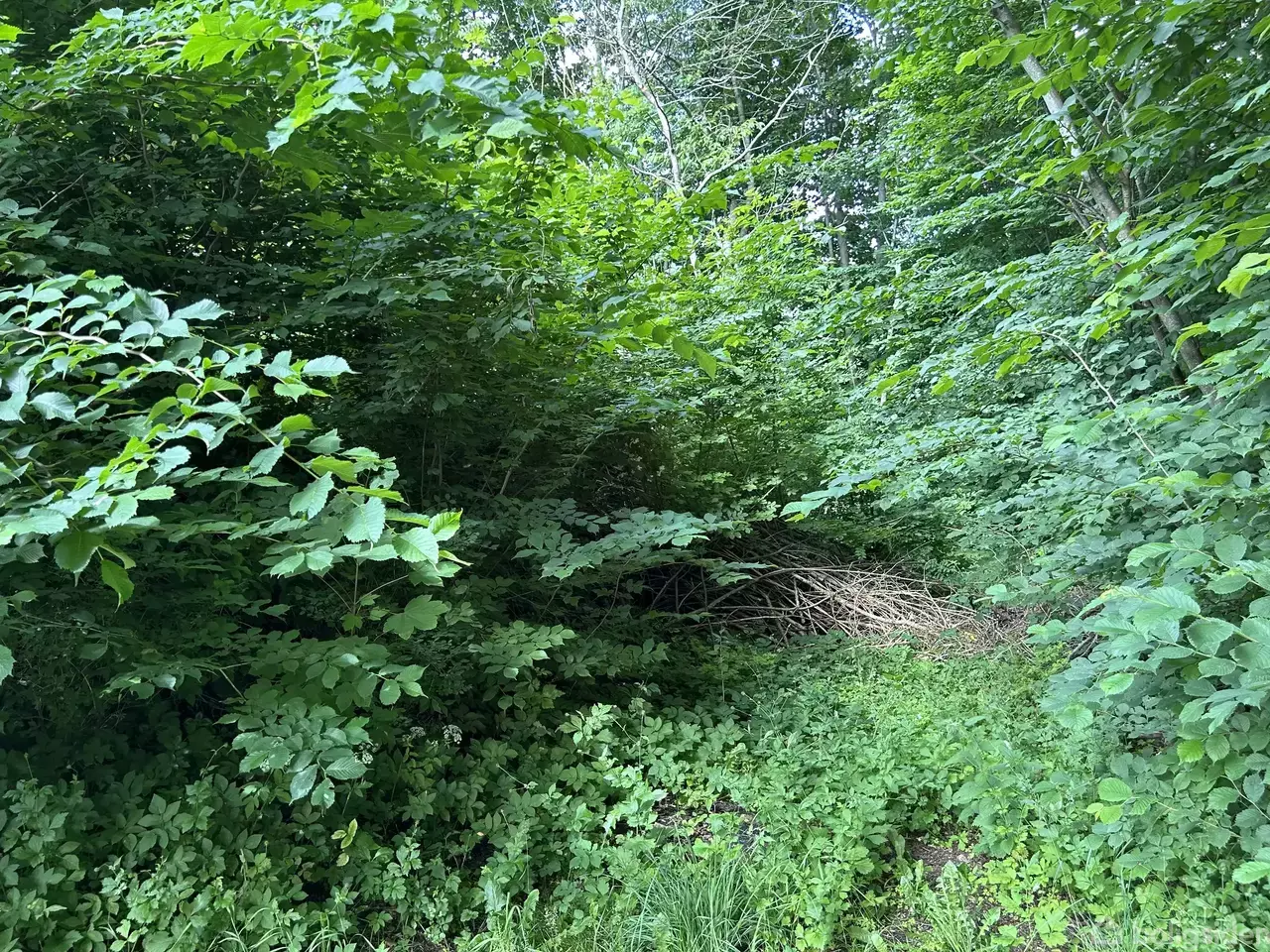 Helårsgrund på Bøgevej 6A, 9900 Frederikshavn