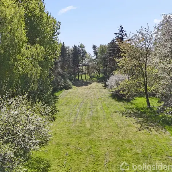 Græsplæne strækker sig gennem et skovområde med træer på begge sider, solskin skinner på den grønne overflade, omgivet af tæt løv.