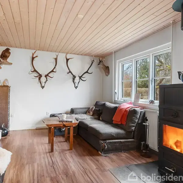 En brændeovn opvarmer stuen. Den står i et hyggeligt rum med sofa, sofabord og flere dyrehoveder monteret på væggen. Der er trægulv og et stort vindue mod haven.