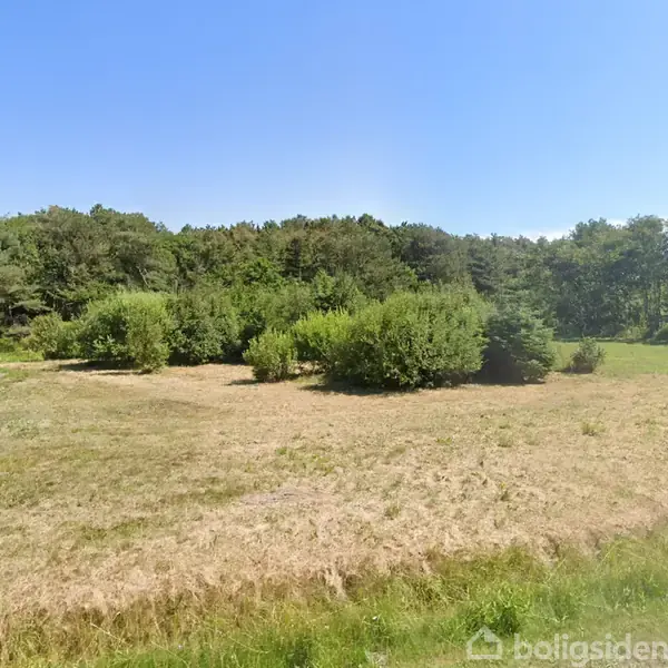 En åben græsmark med spredte buske og træer står i et naturlandskab. I baggrunden ses en tæt skov, mens en hegnslinje er til venstre. Himlen er klar og blå.