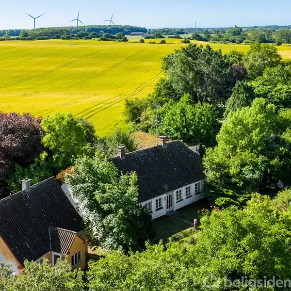 To huse omgivet af frodig skov og marker med vindmøller i baggrunden under en klar, blå himmel.