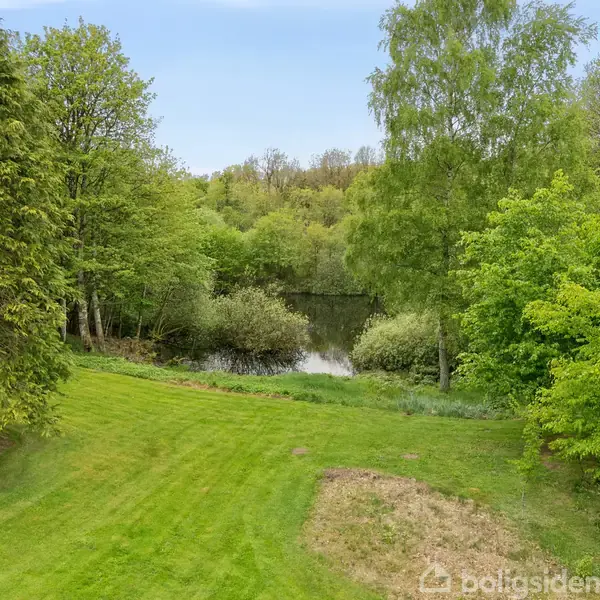 Græsplæne med et let pletvis bart område grænser op til en sø, omgivet af tætte grønne træer i en skov. Rolig natur med frodige vegetationsomgivelser.