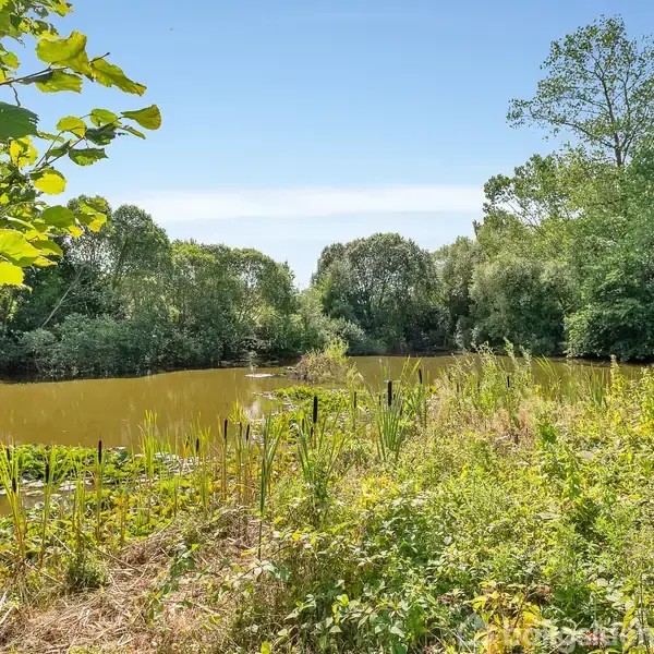 En stille sø er omgivet af frodig vegetation og tætte træer under en klar, blå himmel. Grønt løv dominerer forgrunden, mens vandet er roligt og reflekterende.