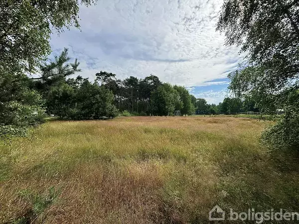 En åben mark med højt græs breder sig i midten, omgivet af tæt skov på begge sider under en delvist skyet himmel.