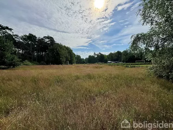 En stor eng dækket af græs i et åbent område, omgivet af træer under en skyet himmel med solen delvist synlig.