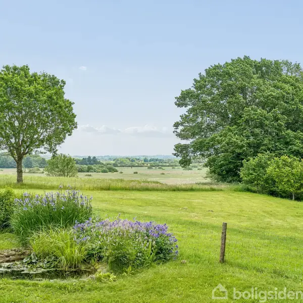En enkeltstående træ står på en velplejet græsplane med et lille blomsterbed og dam. Bagerst ses en stor træsamling og et åbent marklandskab under en klar blå himmel.