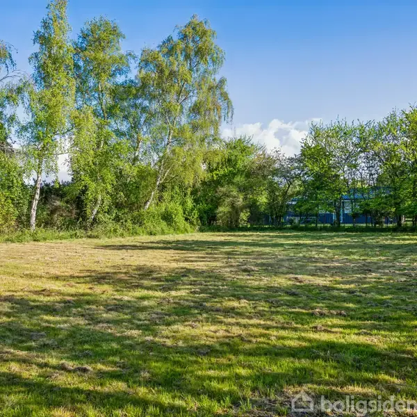 Græsplæne strækker sig over et åbent område, omkranset af træer i fuldt løv under en klar blå himmel, hvilket giver en fredelig og naturlig stemning.