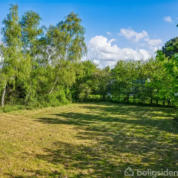 Åben græsplæne omgivet af tæt bevoksede træer, belyst af sollys under en blå himmel med spredte hvide skyer, hvilket skaber en rolig og naturskøn atmosfære.