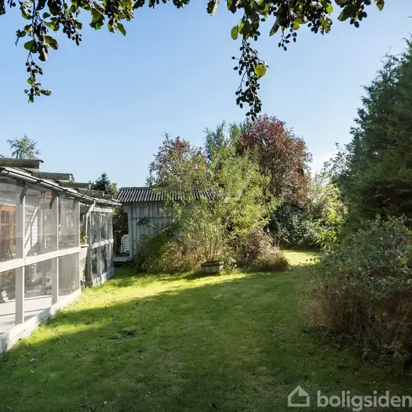 Et langt drivhus strækker sig langs en græsplæne omkranset af frodig vegetation og buske. Solen skinner og kaster skygger på jorden i en rolig baghave.