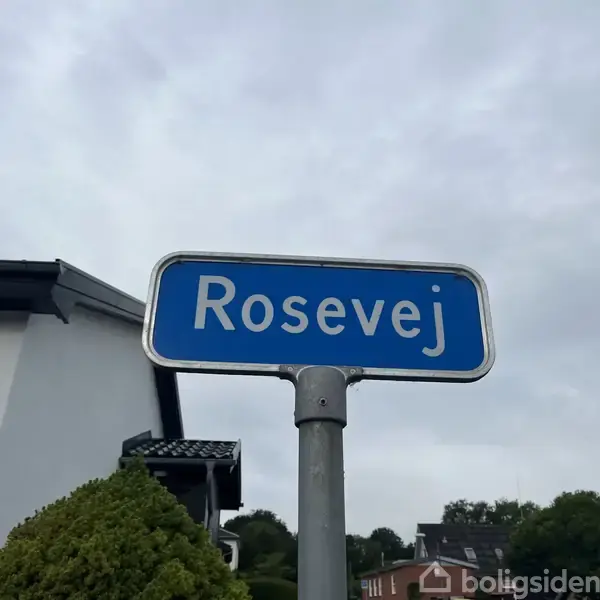 Et vejskilt står fastgjort på en stang, bærende teksten "Rosevej" i hvid skrift på blå baggrund. I baggrunden ses en bygning og grønt løv under en overcast himmel.