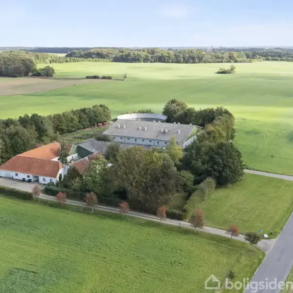 En stor gård omgivet af grønne marker og træer, ligger ved en vej. Gården består af flere bygninger med rødt og gråt tag i et landligt landskab.