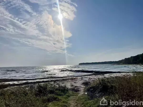 Sol lyser over en bølgende havoverflade, der strækker sig ud mod horisonten. Forgrund med græs og sand, skovkant i baggrunden.