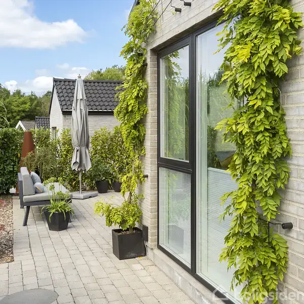 En terrasse med fliser, hvor en plante klatrer op ad en murstensvæg ved et stort vindue. Omkring er der havemøbler og parasoller samt grønne planter i krukker.