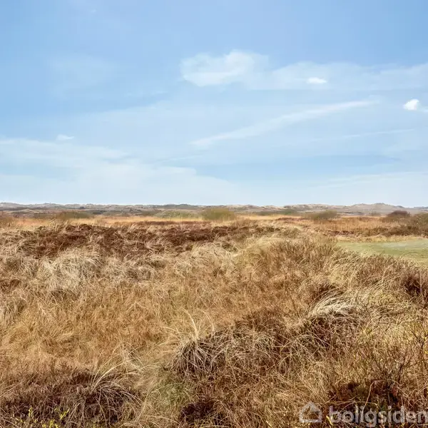 Tørt græsland strækker sig under en klar blå himmel, med spredte buske og fjerne bakker i horisonten.