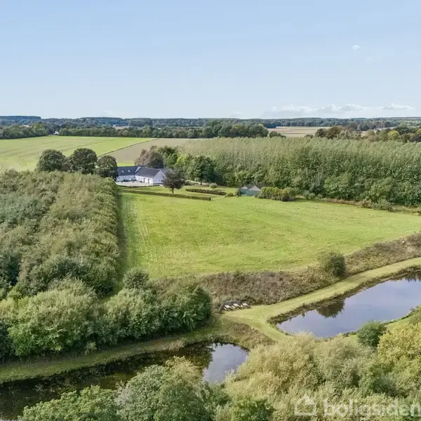 Gård omgivet af grønne marker og træer, spejler sig i en nærliggende sø, beliggende i et fredfyldt, landligt område under en klar blå himmel.