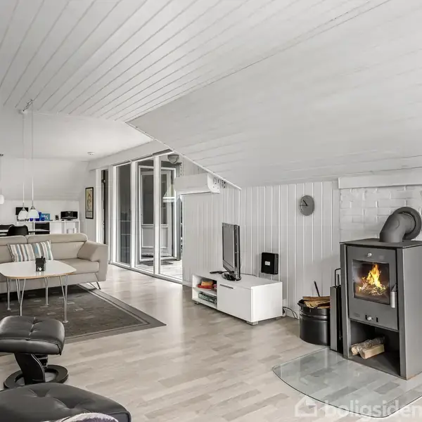 En brændeovn står og fyrer i en lys, rummelig stue. Omkring er der en sofa, et sofabord, og et tv. Vinduer lader naturligt lys komme ind.