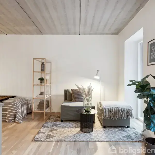 Et stilfuldt indrettet værelse med en seng, reol og sofa. Et tæppe dækker trægulvet, og en lampe er tændt. En stor plante står i hjørnet ved et vindue.