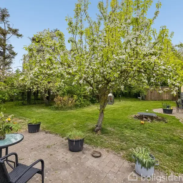 En blomstret frugttræ står i midten af en have. Omkring træet er en grøn græsplæne med havemøbler og blomsterpotter placeret på en flisebelagt terrasse ved et gult hus.