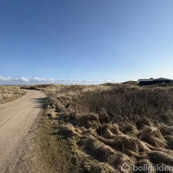 En snoet grusvej løber gennem en klitlandskab med tørt græs under en klar blå himmel. En lav bygning ses til højre bag klitterne.