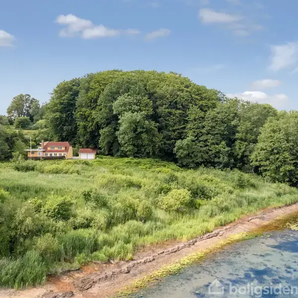 Hus ligger ved skovkant, nær kystlinje med grønt terræn og klart vand. Himmel er blå med spredte skyer. Tekst på husets tag: "NEDBRÆNDINGSVÆRDI 4,6 MILLION."