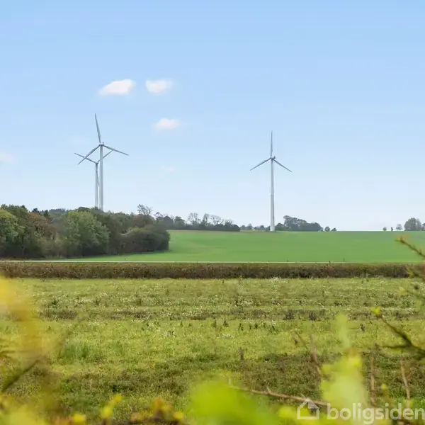 Vindmøller står stille på en grøn mark med træer i baggrunden under en klar blå himmel. Vegetation ses i forgrunden.