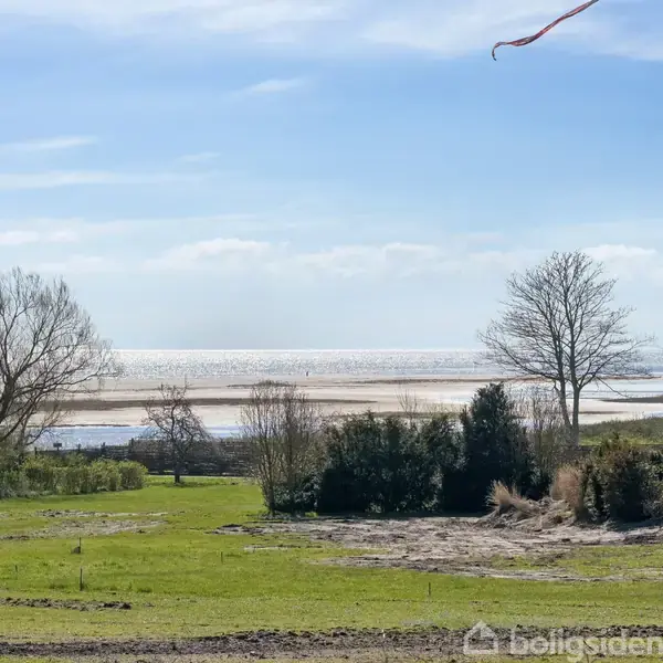 En græsplæne strækker sig ud mod en kyst med glitrende vand og sandskibber, omkranset af spredte træer og buske under en klar blå himmel.