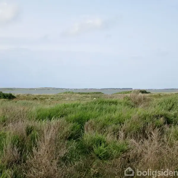 Græsområde med grøn vegetation strækker sig over et landskab, der møder en horisont med vand og svag dis, under en lys himmel med få skyer.