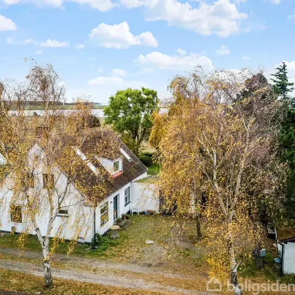 Hvidt hus med stråtag omgivet af træer i efterårsfarver, beliggende ved en rolig grusvej under en blå himmel med skyer.